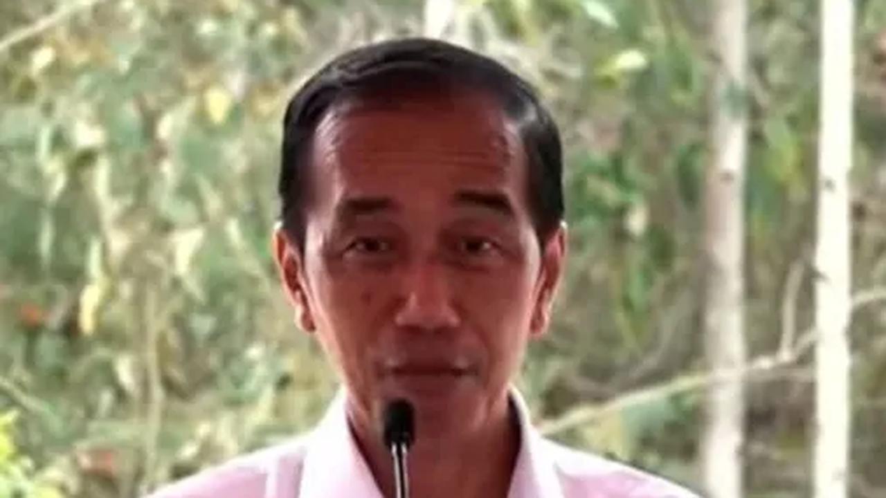 Jokowi Ingin Contoh Guyana: Kekayaan Negara Digarap Swasta Bukan BUMN, Maaf Pak Erick