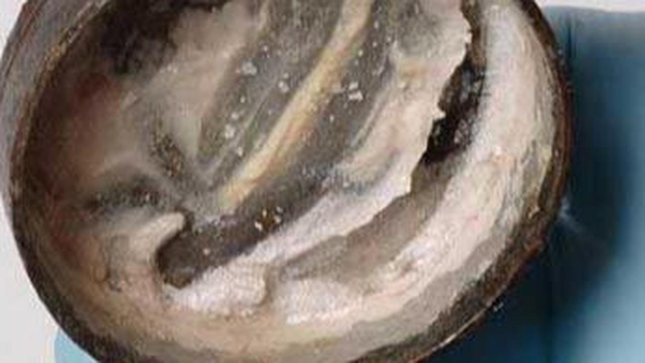 Krim Wajah Berusia 2.000 Tahun Ditemukan di Kuil Romawi, Arkeolog Hampir Pingsan Saat Buka Kemasannya