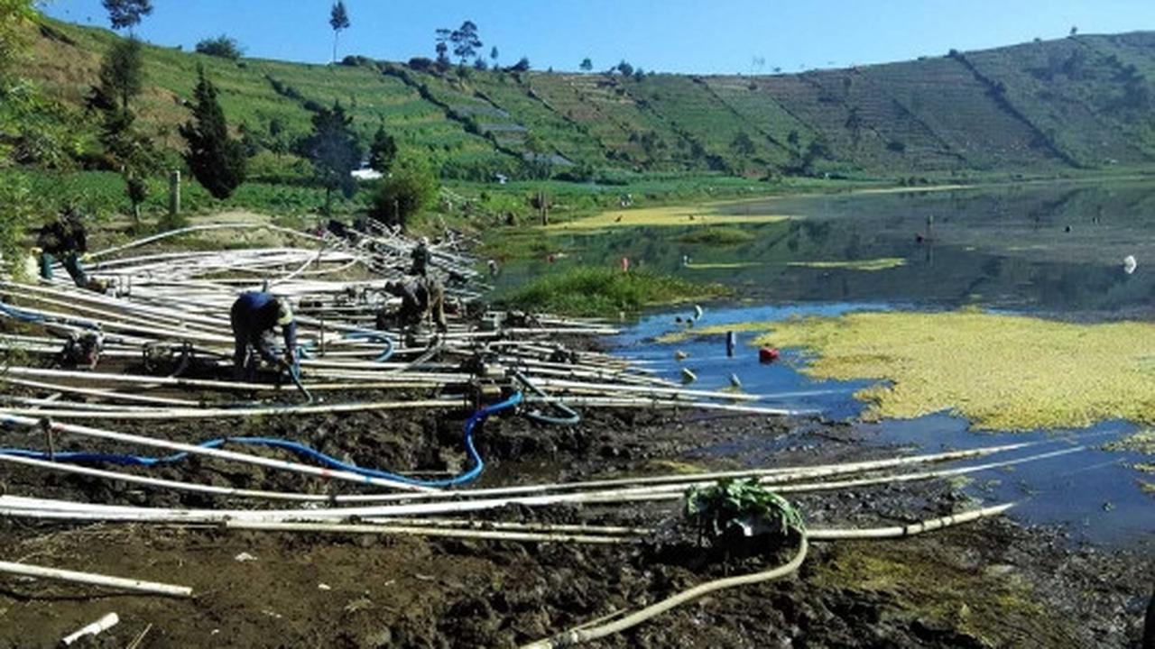 Kekeringan, petani kentang Dieng sedot air Telaga Merdada