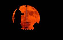 FOTO: Keindahan Strawberry Moon di Langit Berbagai Negara, Fenomena Langka yang Muncul Lagi Tahun 2043
