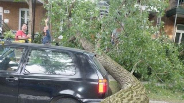 Selamat dari Musibah