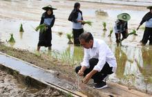 Ini Besaran Jatah Harga Rumah Pensiun Jokowi di Karanganyar