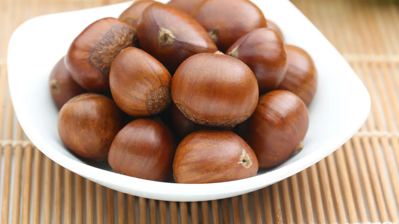 jengkol