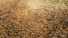 Pemandangan dari udara warga menggali tanah saat mencari batu yang diyakini berlian setelah penemuan batu misterius di Desa KwaHlathi, luar Ladysmith, Provinsi KwaZulu-Natal, Afrika Selatan (15/6/2021). (AFP/Phill Magakoe)