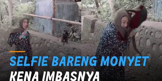 VIDEO: Niat Selfie Bareng Monyet, Perempuan Kena Imbasnya