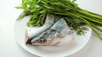 ilustrasi ikan patin/copyright By cypopcolour (Shutterstock)