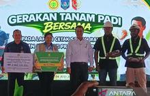 Perkuat Ketahanan Pangan, Mentan Salurkan Bantuan Pertanian Rp1,3 Triliun untuk Papua Selatan