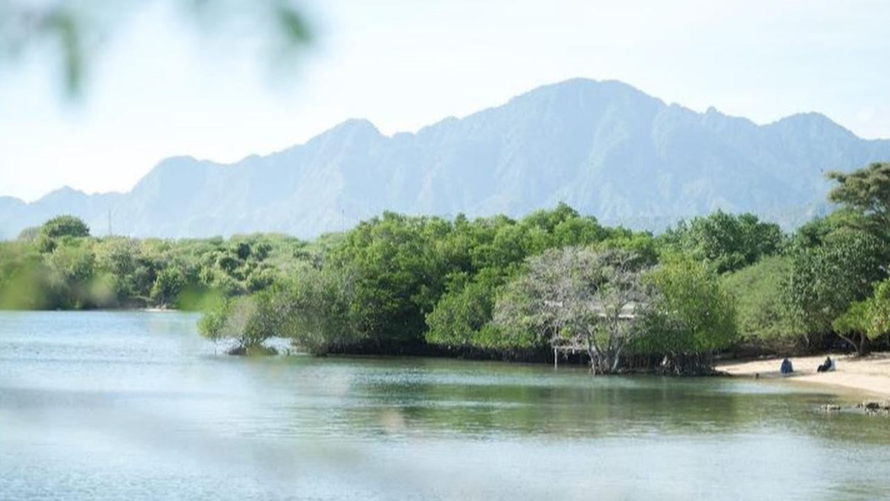 Program Community Forest Berpotensi Serap 600.000 Ton CO2 per Tahun