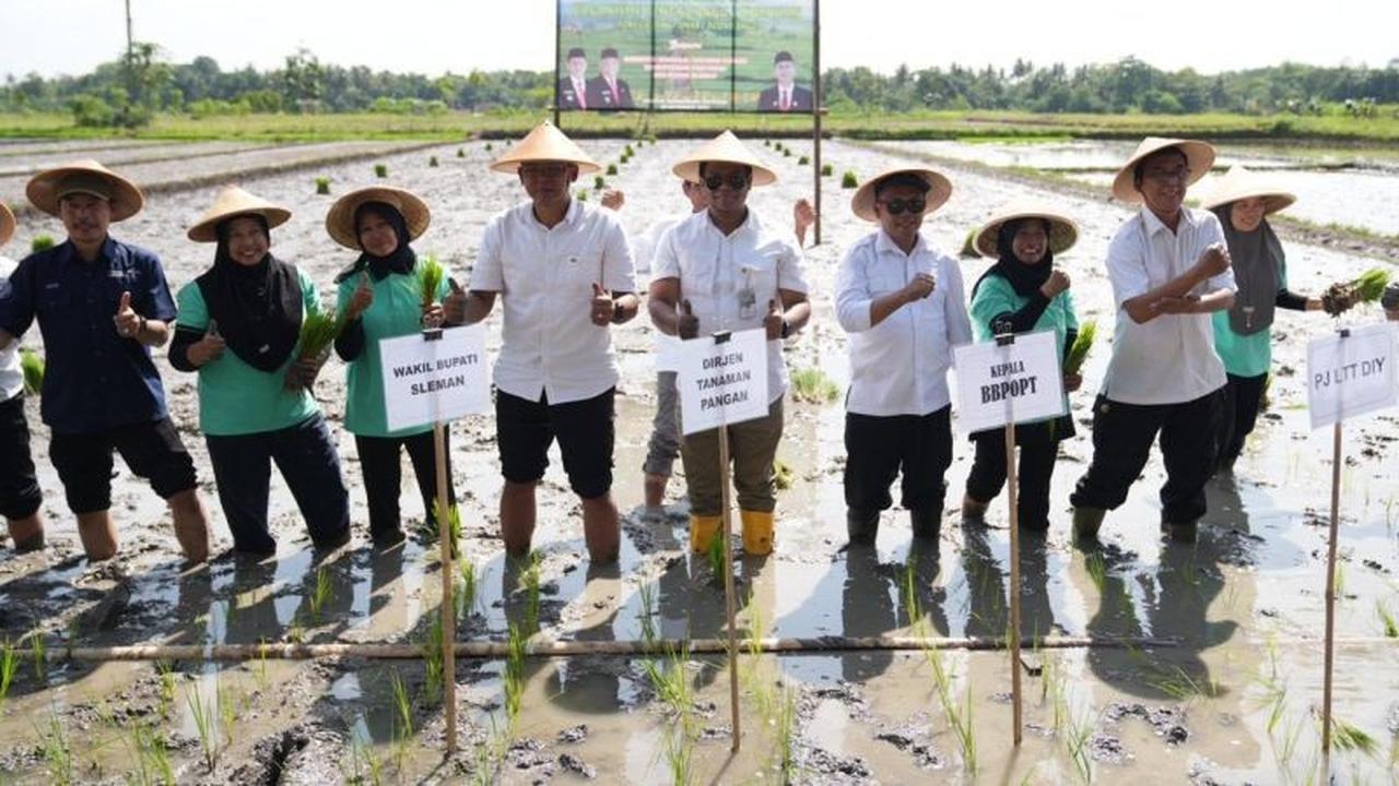 Kementan Luncurkan Kampung Peramalan OPT di Sleman, Perkuat Ketahanan Pangan DIY