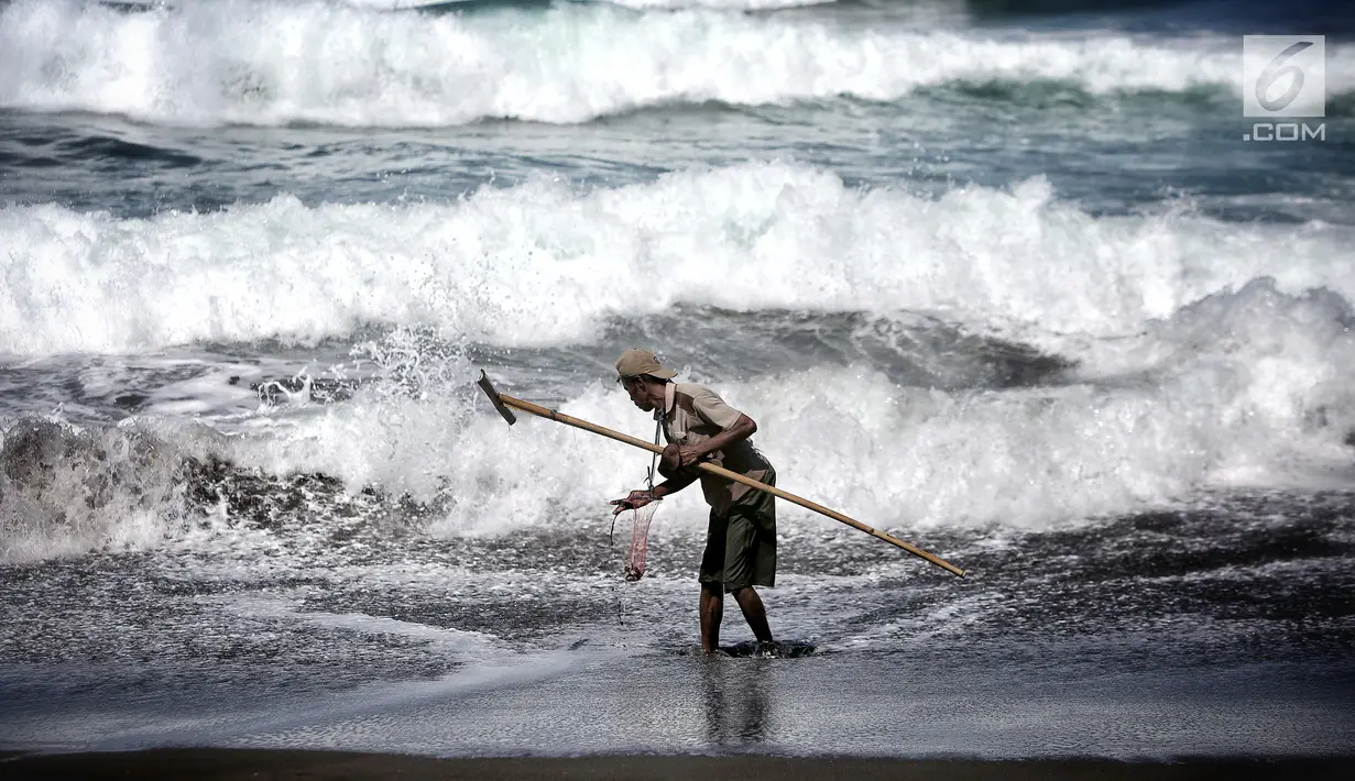 Marsiono, mencari undur-undur atau yutuk di bibir Pantai Bocor, Kabupaten Kebumen, Jawa Tengah, Sabtu (05/5). Menurut literatur undur-undur mempunyai kandungan gizi yang cukup tinggi. (Liputan6.com/Fery Pradolo)