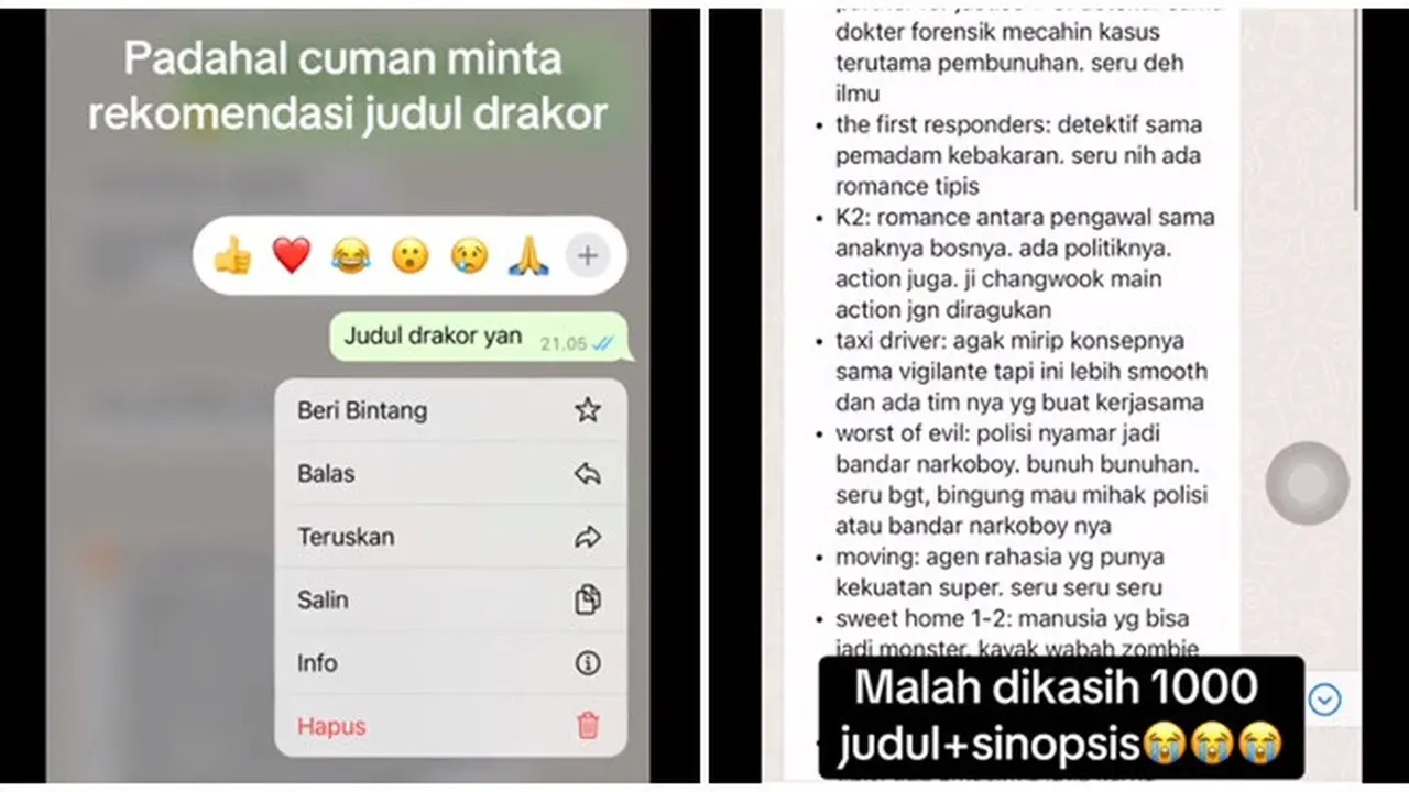 Viral Penjelasan Detail Soal Drakor Ini Bak Materi Pelajaran, Pecinta Drama Sejati