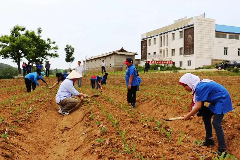 Anak Indonesia bercocok tanam di Korea Utara (Foto KBRI Pyongyang)