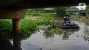 Jika tidak dibersihkan, eceng gondok ini akan tumbuh subur di Setu Pengarengan. (merdeka.com/Arie Basuki)
