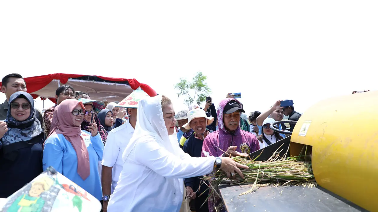 Di Kota Semarang terdapat 1.600 hektare sawah yang dapat dikembangkan menjadi lahan  penanaman varietas padi unggul, padi Biosalin. (Foto: Istimewa)