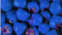Stroberi Berwarna Biru Tanpa Olah Digital!