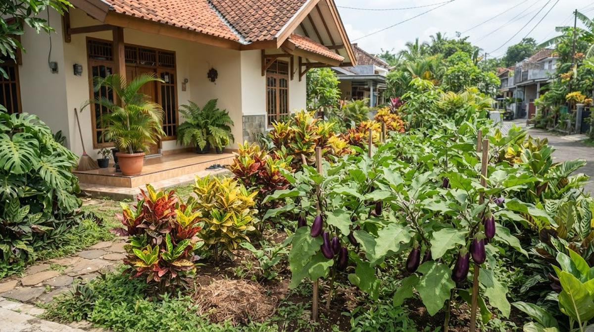 Kombinasi Tanaman Hias dan Tanaman Pangan untuk Halaman Rumah