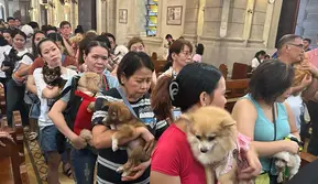 Gereja di Manila Gelar Pemberkatan Hewan Peliharaan, Ada Anjing hingga Siput