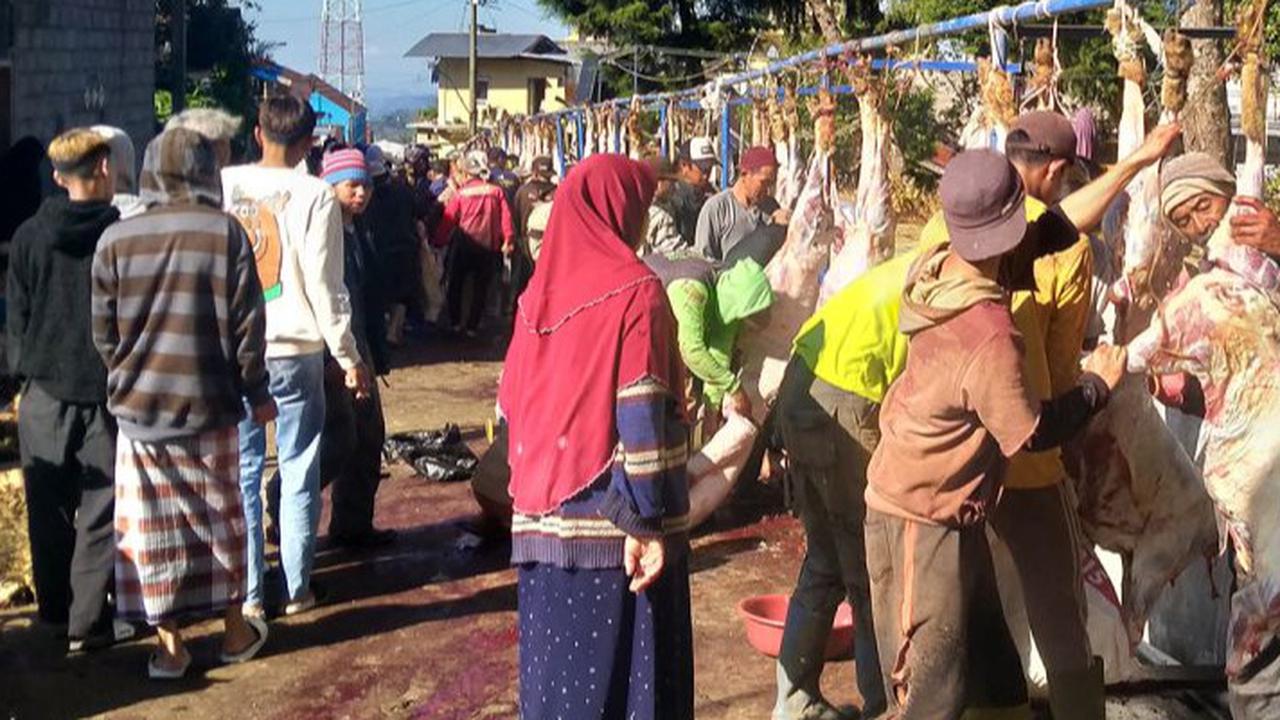 Tradisi Turun Temurun, Warga Batur Banjarnegara Sembelih 720 Hewan Kurban Hasil Setahun Menabung