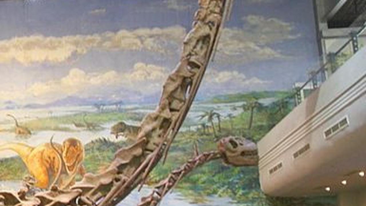 4. Evolusi Raksasa Dinosaurus yang Terus Terjadi<br>