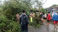 Pengangkut surat suara sempat terjebak pohon tumbang. (Foto: Liputan6.com/Polres Pemalang)