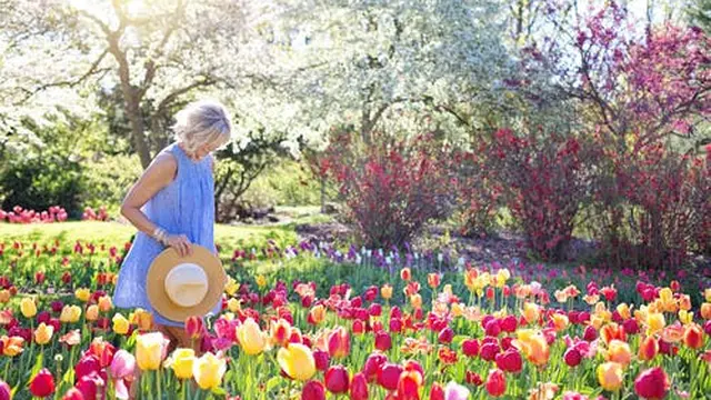 Berjalan Santai di Taman