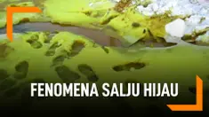 Bahan Kimia Ubah Salju Putih di Rusia Jadi Hijau