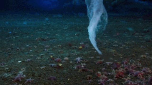 7 Fenomena Alam Langka yang Buktikan Bumi adalah Planet Penuh Misteri