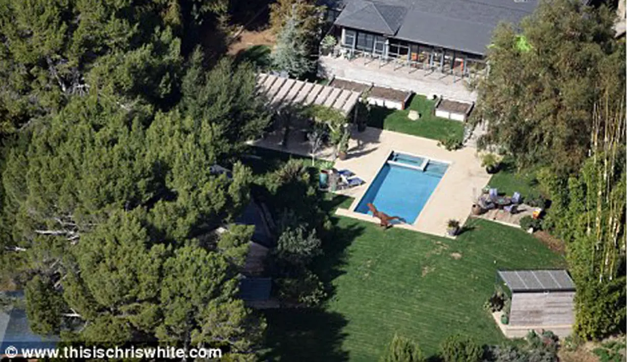 Liam dan Miley mendirikan taman bermain anak-anak di kediamannya di Malibu. Terlihat beberapa permainan anak-anak yang berjajar di atasnya mengelilingi kolam renang. (doc. Daily Mail)