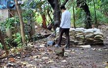 Penataan Taman Kota Cawang: Pemkot Jakarta Timur Tingkatkan Keamanan dan Visibilitas Ruang Publik