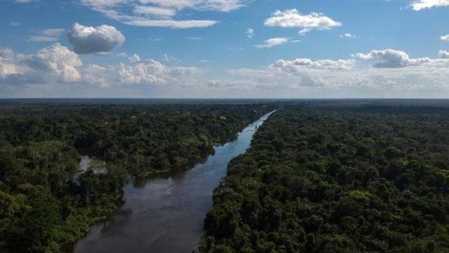 Kawasan Amazon