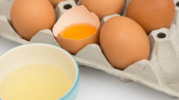 Foto: Copyright ShutterStock.com