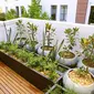 Gunakan area atap untuk mendirikan taman kecil Anda alias rooftop garden. 