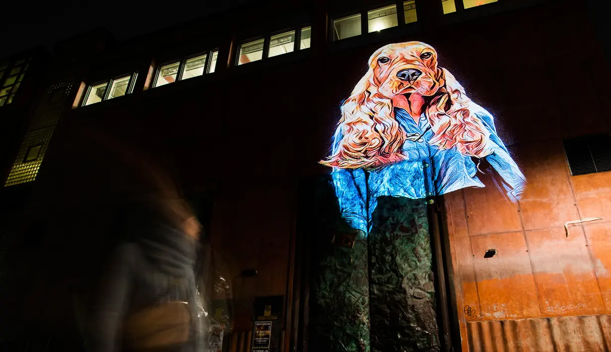Gambar anjing berpakain rapi yang dipamerkan di tembok sebuah bangunan di Sodermalm, Swedia (25/11). Safari Urbain Sthlm adalah pameran gambar hewan yang diproyeksikan di bangunan pada malam hari di sekitar Stockholm. (AFP/Jonathan Nackstrand)