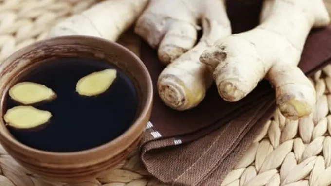 copyright by Fresh Design Pedia