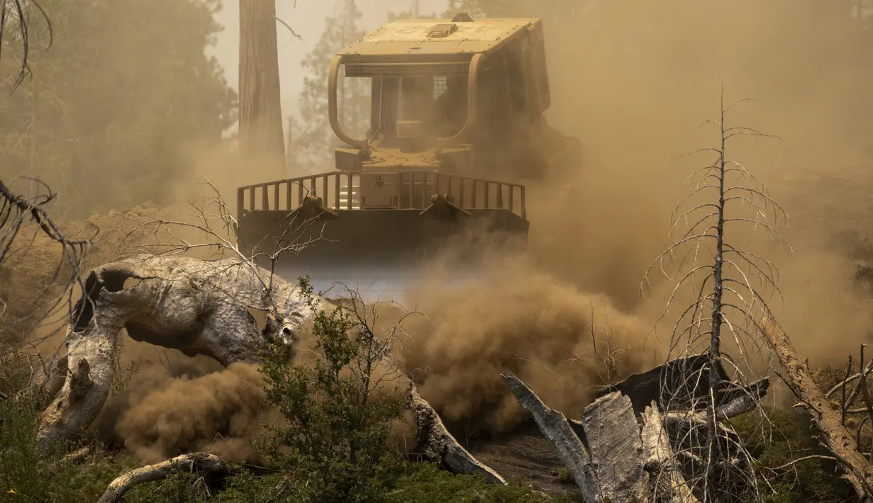 Sebuah buldoser memotong saluran api di Oak Fire dekat Mariposa, California, Amerika Serikat, 25 Juli 2022. Kobaran api dekat Taman Nasional Yosemite telah memaksa ribuan orang untuk mengungsi, kata para pejabat. (DAVID MCNEW/AFP)