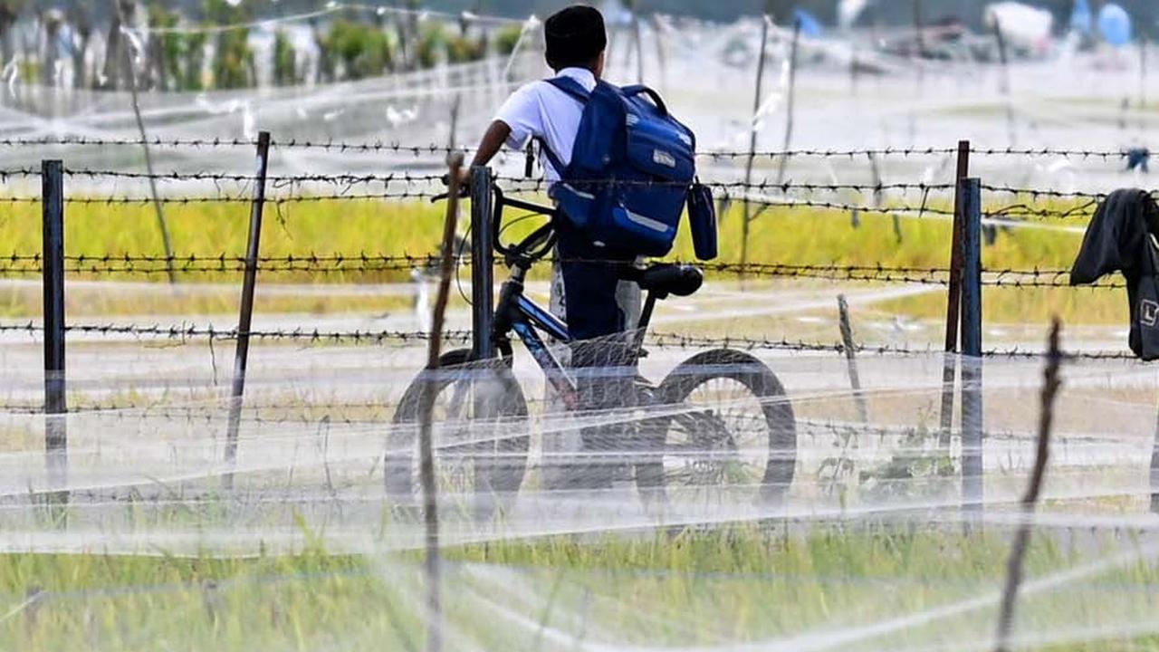 Harga Beras Naik, Petani Makin Kaya?