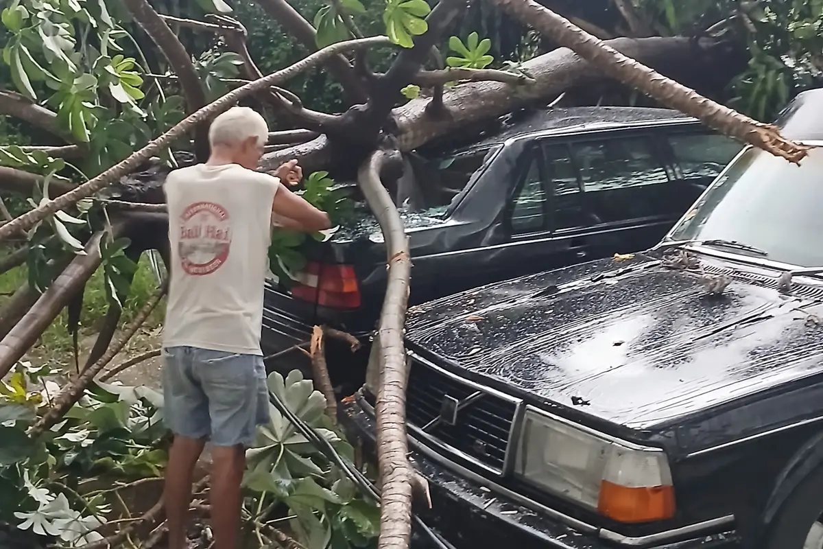 Hujan Campur Angin di Depok, Picu Genangan hingga Pohon Tumbang Timpa Mobil
