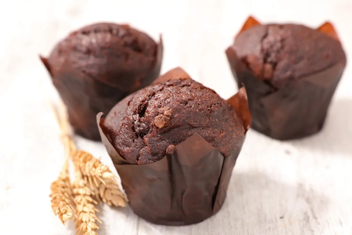 muffin cokelat