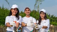 Rehabilitasi Mangrove Teluk Pangpang di Banyuwangi Jatim untuk Lingkungan dan Ekonomi Pesisir