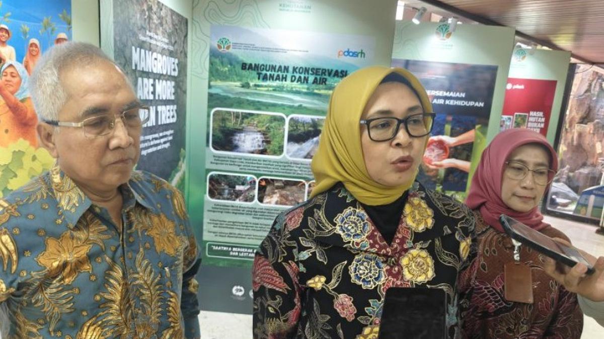 Kemenhut Targetkan Pemulihan 12,3 Juta Hektare Lahan Kritis