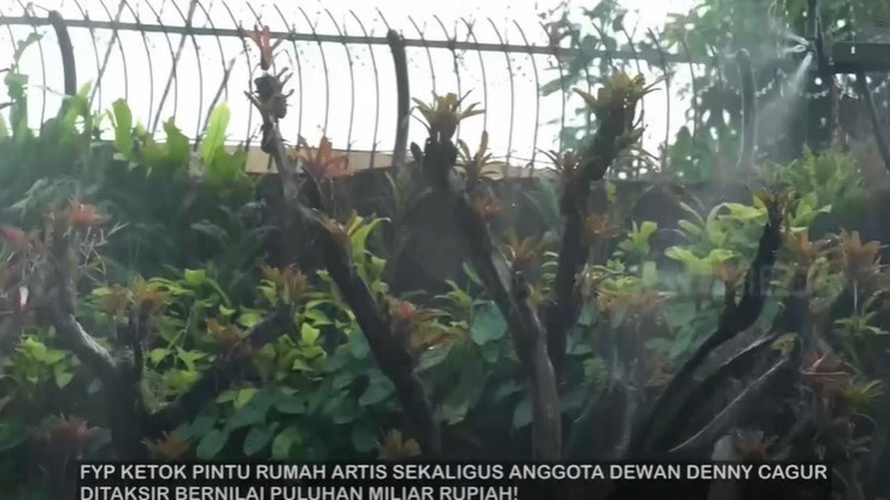 8 Potret Paludarium Raksasa di Rumah Denny Cagur yang Megah, Pemandangan Indah - Ditaksir Berharga Fantastis