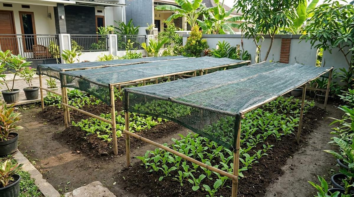 Pekarangan Rumah