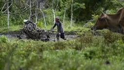 Seorang petani membajak sawah Kuta Cot Glie, provinsi Aceh (6/1/2022). Kementerian Keuangan menaikkan tarif CHT terhitung 1 Januari 2022 rata-rata 12 persen dengan dasar pertimbangan untuk pengendalian konsumsi rokok masyarakat. (AFP/Chaideer Mahyuddin)