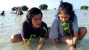 Tumbuhan mangrove diyakini mampu mencegah abrasi sekaligus bisa menjadi tempat ikan untuk berkembangbiak, Kepulauan Seribu, Jakarta Utara, Sabtu (3/5/2014) (Liputan6.com/Miftahul Hayat).
