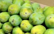 Rahasia Penjual Mangga di Balik Potongan Pajangan agar Terlihat Segar, Ternyata Pakai Cara Tak Terduga