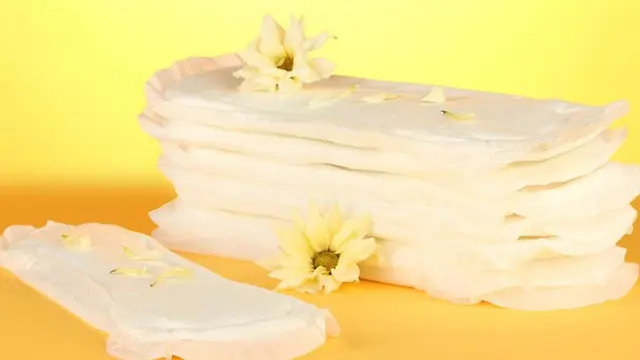 Pakai Pantyliner Setiap Hari, Apa Risikonya?