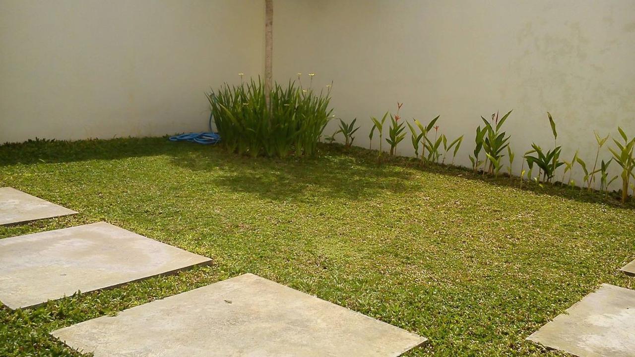 Taman dengan Area Bebas Tanah