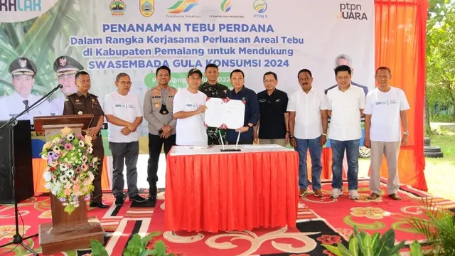 Tanam Tebu