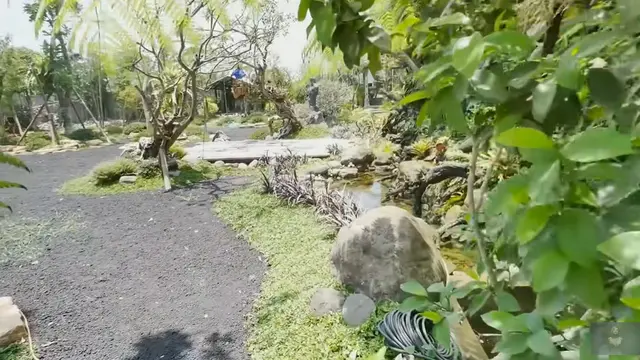 Model Kolam di Taman Rumah Soimah