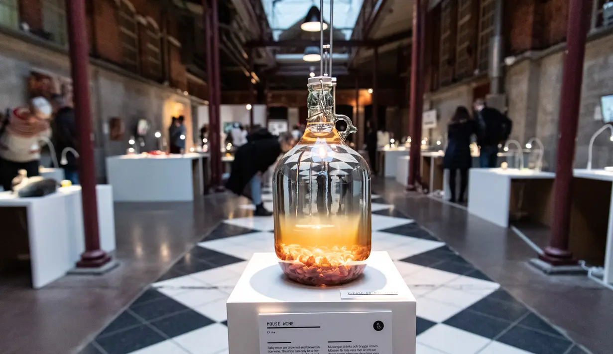 Anggur berisi tikus dalam Disgusting Food Museum atau Museum Makanan menjijikan di Malmo, Swedia, 4 November 2018. Pengunjung bisa mencium, menyentuh, dan mencicipi makanan di seluruh dunia yang dianggap menjijikkan. (Johan NILSSON/TT NEWS AGENCY/AFP)